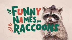 Funny Names For Raccoons